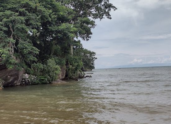 malawi/viphya-mountains/bar/chifundo-s-bar