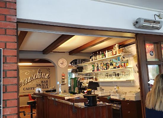 switzerland/ticino/bar/bar-verzaschina