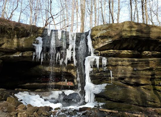 ohio/dundee-falls/bar/dundee-falls-trailhead