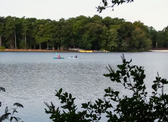 delaware/trap-pond-state-park/bar/trap-pond-camp-store