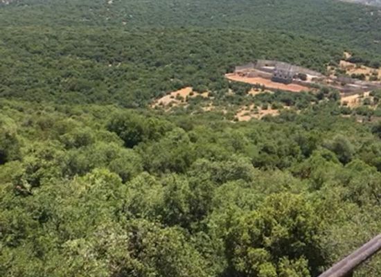 jordan/ajloun-forest-reserve/bar/matam-albaloot