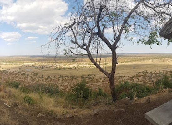 zimbabwe/hwange-national-park/bar/elephant-and-dassie-restaurant