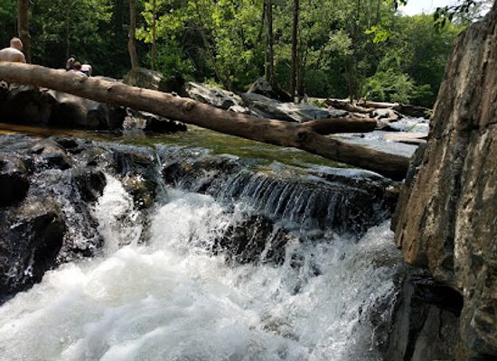 maryland/gunpowder-falls-state-park/bar/gunpowder-lodge