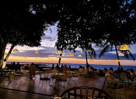 costa-rica/tamarindo/bar/wild-panda