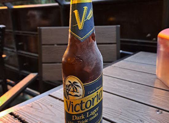 nicaragua/jinotega-mountains/bar/jinocuba