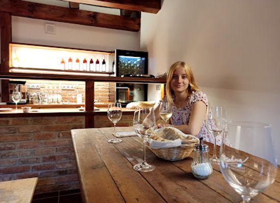 czechia/south-moravia/bar/vinny-bar-michna