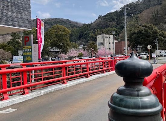 japan/izu/bar/