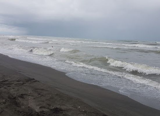 georgia/guria/bar/bar