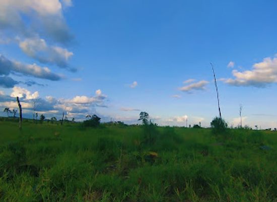 cambodia/mondulkiri/bar/