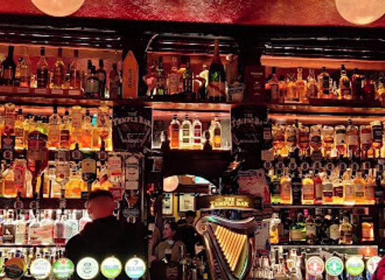 ireland/leinster/bar/the-temple-bar-pub