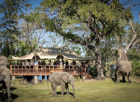 zambia/victoria-falls-area/bar/the-elephant-cafe-livingstone