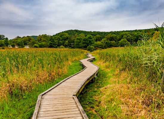 new-jersey/appalachian-trail/bar/appalachian-trail-boardwalk