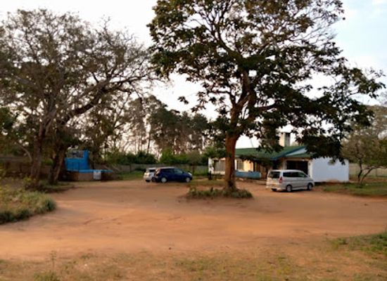 malawi/viphya-mountains/bar/club-31