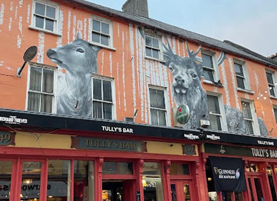 ireland/county-carlow/bar/tully-s-bar-carlow