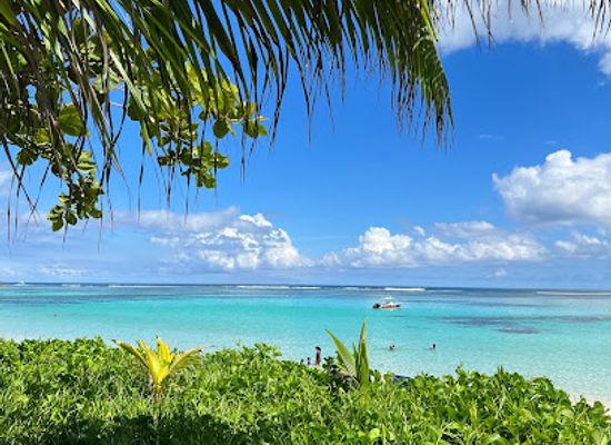 seychelles/ile-aux-recifs/bar/kafe-kreol-cafe-restaurant
