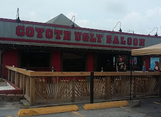 florida/panama-city-beach/bar/coyote-ugly-saloon
