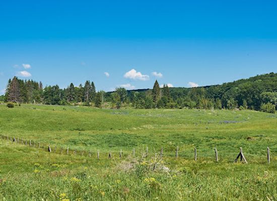 hungary/bukk-national-park/bar/nagy-mezo