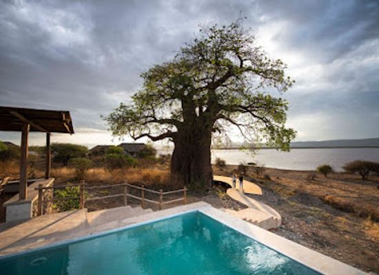 tanzania/ngorongoro-highlands/bar/manyara-s-secret