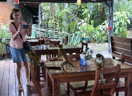 costa-rica/manuel-antonio-national-park/bar/rasta-bar-y-restaurante