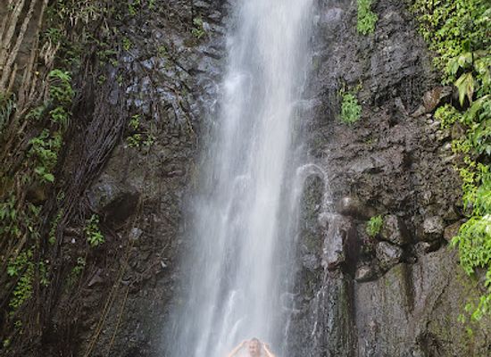 saint-vincent-and-the-grenadines/dark-view-falls/bar/dark-view-fall