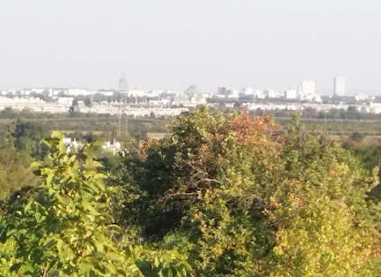 austria/vienna/floridsdorf/bar/weinkeller-kopertz