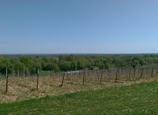 france/poitou-charentes/bar/bar-le-beune-aise