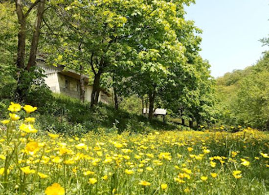 armenia/lori/bar/shlorkut