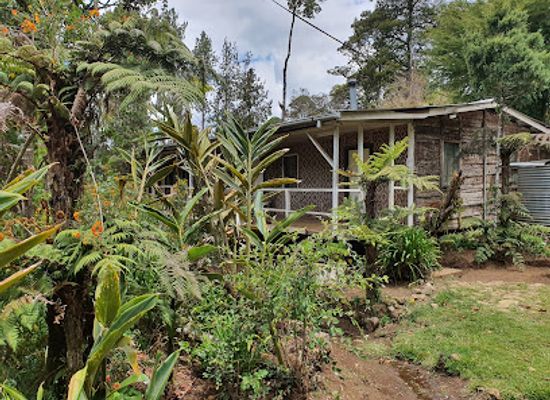 papua-new-guinea/mount-wilhelm/bar/betty-s-lodge