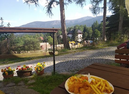 poland/karkonosze-mountains/bar/frytka