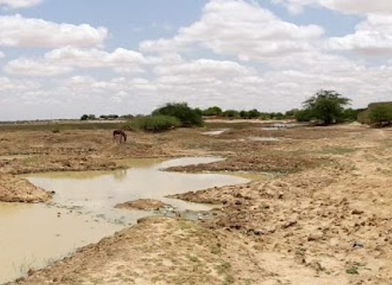 burkina-faso/gorom-gorom/bar/maquis-progres-plus