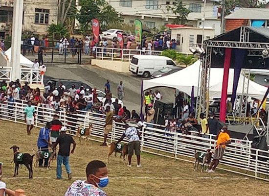 trinidad-and-tobago/scarborough/bar/wagon-wheel-restaurant-and-bar