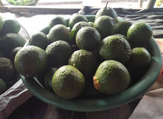 sri-lanka/puttalam-district/bar/