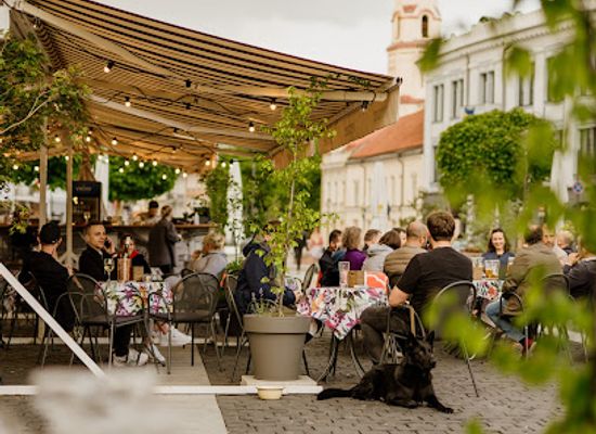 lithuania/vilnius-region/bar/who-hit-john-outside