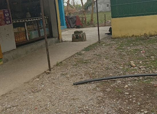 nepal/terai/bar/sapana-restaurant-and-cottage