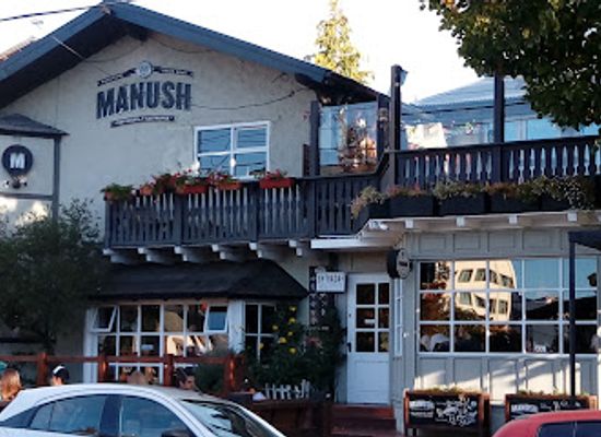 argentina/nahuel-huapi-national-park/bar/manush-centro