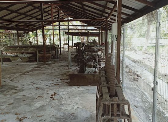 brunei/labu-forest-reserve/bar/labu-estate-rubber-industrial-site