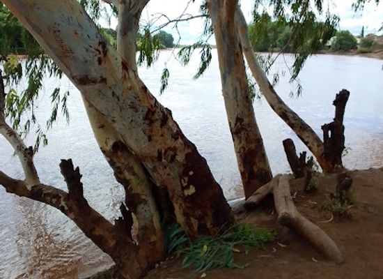 kenya/tana-river-basin/bar/club-004-hola-tanariver
