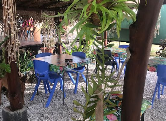 french-polynesia/tuamotu-archipelago/bar/le-koko-z