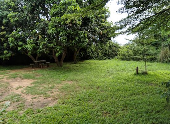 mozambique/lake-niassa-region/bar/why-not-paraiso