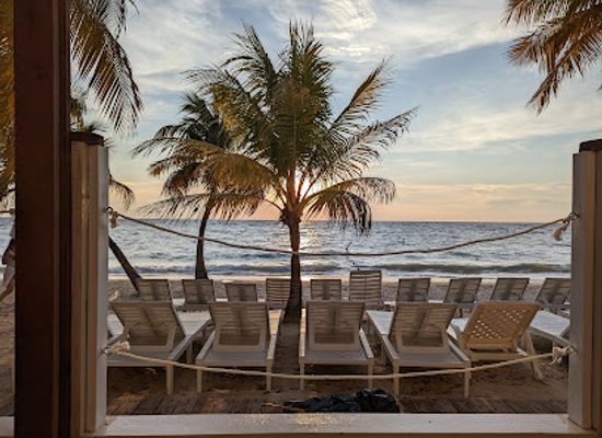 honduras/bay-islands/bar/gula-gastrobar-winery