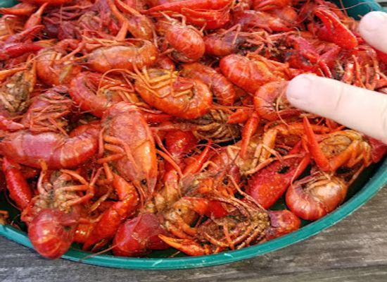 louisiana/southwest-louisiana/bar/sam-s-cove