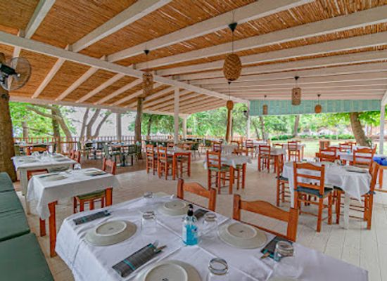 greece/mount-athos/bar/rodia-beach-bar