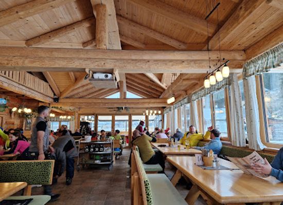 austria/dachstein-mountains/bar/moosalm