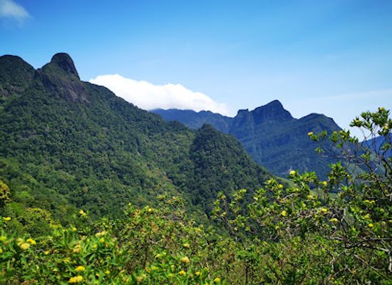 sri-lanka/knuckles-mountain-range/bar/knuckles-forest-reserve