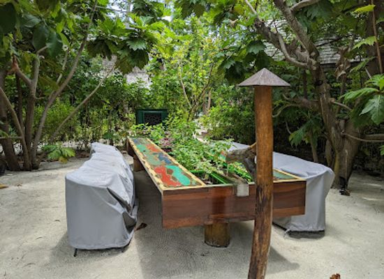 maldives/laamu-atoll/bar/elements
