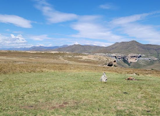 south-africa/golden-gate-highlands-national-park/bar/vulture-restaurant-golden-gate-national-park