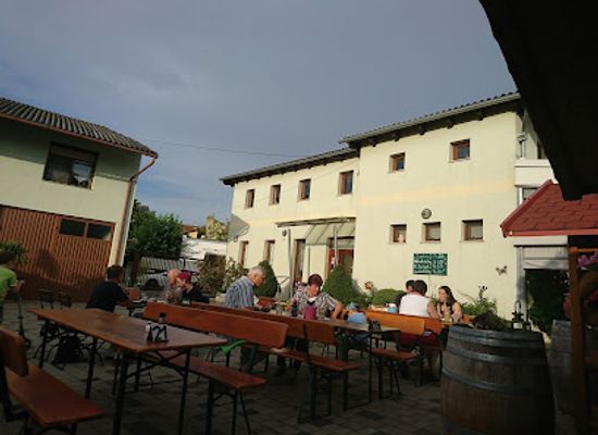 austria/lake-neusiedl/bar/der-heurige-dinhof