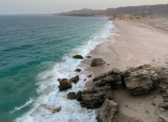 oman/ras-al-jinz/bar/ras-al-jinz
