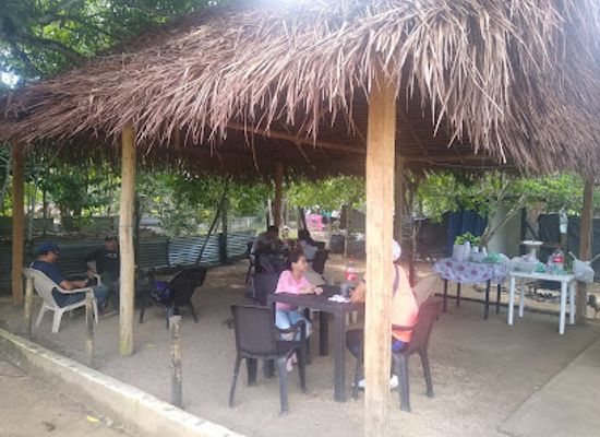colombia/guainia-department/bar/el-rincon-de-moe
