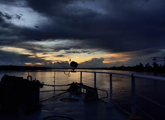 papua-new-guinea/fly-river-basin/bar/fly-river
